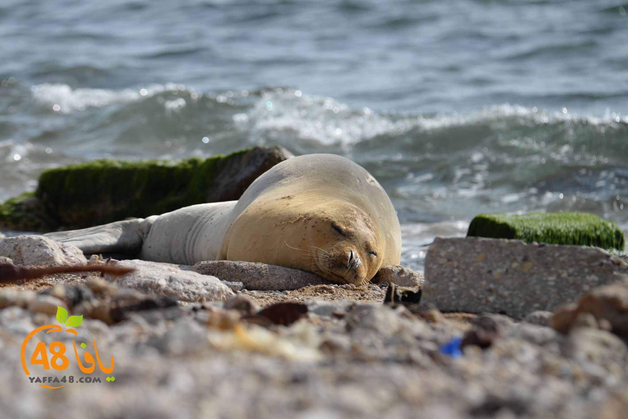 WhatsApp Image 2023-ي05-12 at 18.52.26.jpg